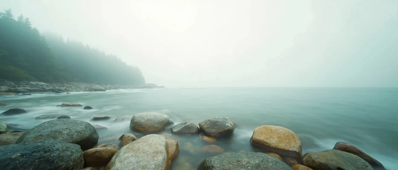 Abstract coastal lines and marketing system patterns inspired by White Rock and Surrey